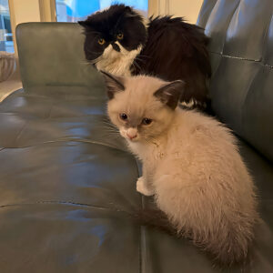 Photo after being enhanced